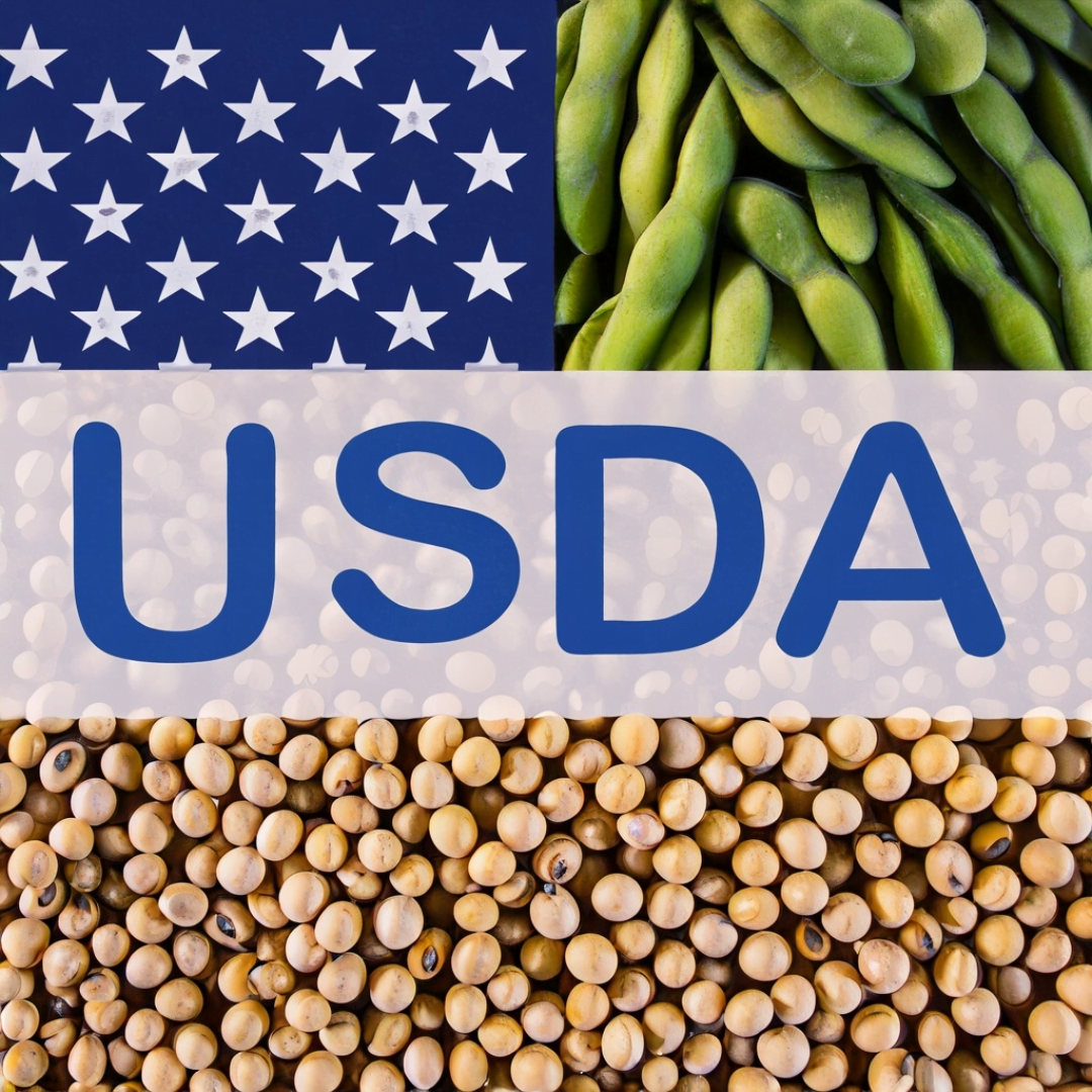 USDA Bericht für Weizen Mais und Sojabohnen