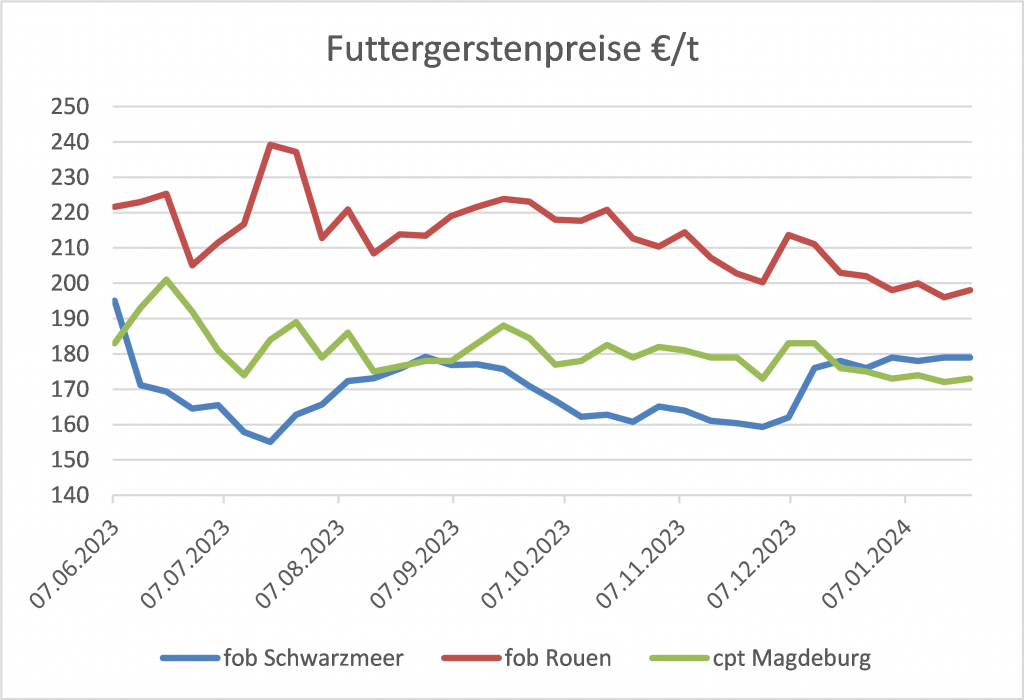 Diagramm zeigt sinkende Futtergerstenpreise für fob Schwarzmeer, fob Rouen und cpt Magdeburg über einen Zeitraum von Juni 2023 bis Januar 2024.