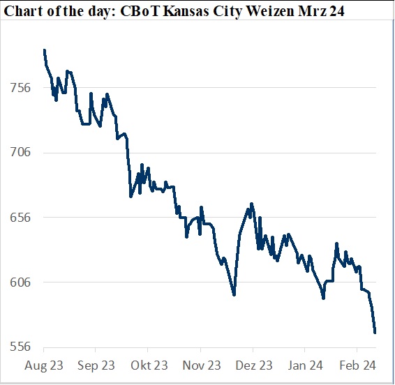 Trenddiagramm des CBOT Kansas City Weizen Futures März 24, zeigt einen Abwärtstrend von August 2023 bis Februar 2024 CBOT Short-Positionen Weizenmarkt Trends Rapspreis Entwicklung Agrarproduktion EU