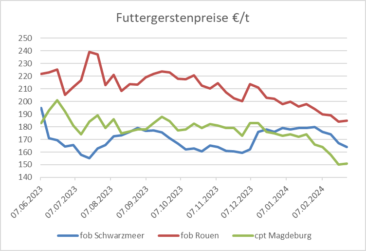 Entwicklung der Futtergerstenpreise am Schwarzmeer, in Rouen und Magdeburg von Juni 2023 bis Februar 2024.