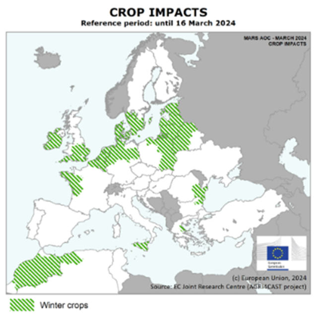 Getreide in Europa: Wetterbedingte Herausforderungen – Eine Analyse