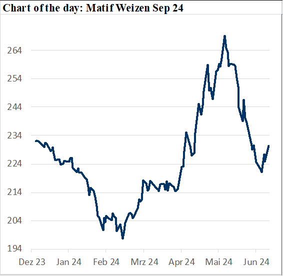 Preisentwicklung für Matif Weizen Sep 24 von Dezember 2023 bis Juni 2024 mit signifikanter Preissteigerung im Mai.