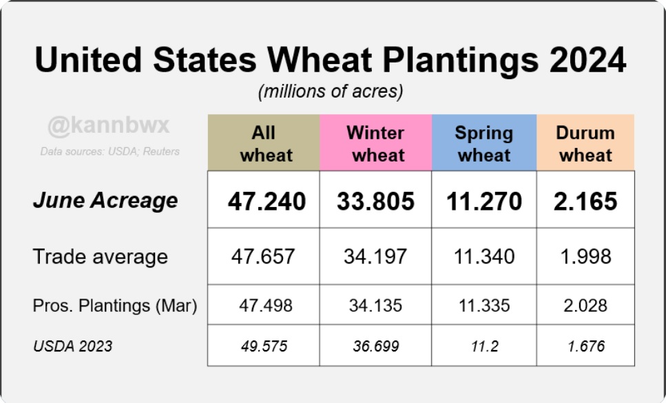 Grafik des USDA-Berichts 2024 mit den Weizenanbauflächen in den USA, unterteilt in Winterweizen, Frühjahrsweizen und Hartweizen. USDA-Bericht 2024, Weizenanbaufläche, Maisernte, Agrarrohstoffe, Marktanalyse