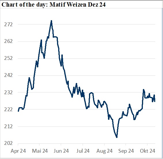 Preisentwicklung von Weizen Futures für Dezember 2024 im Verlauf des Jahres. Weizenmarkt, Maispreise, Rapspreise, russische Exportbeschränkungen, Weizen Futures,
