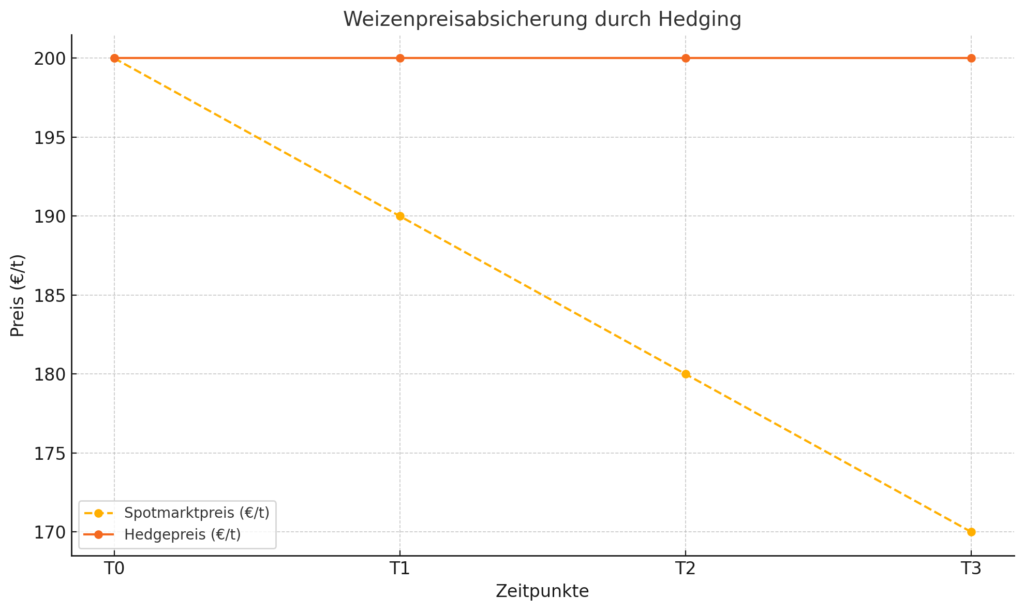 Grafik zeigt den stabilen Hedgepreis im Vergleich zu schwankenden Spotmarktpreisen für Weizen mehrere Zeitpunkte. Matif Weizenpreise Absicherung Basis